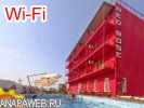 ����� � �������� - ����� �RED ROSE� <small>(Wi-Fi ��������)</small>